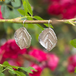 Rose leaf earrings